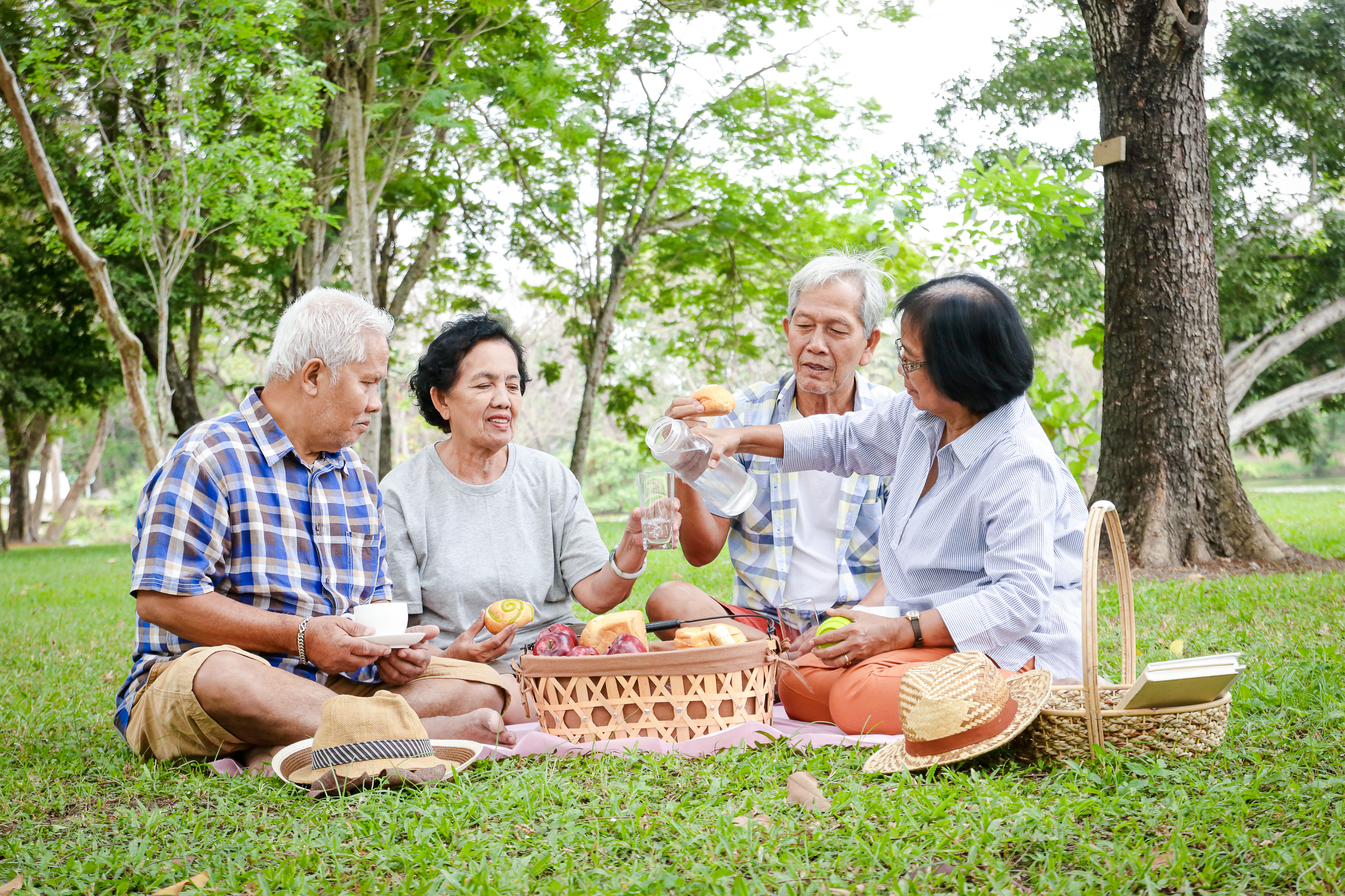 Picnic with friends