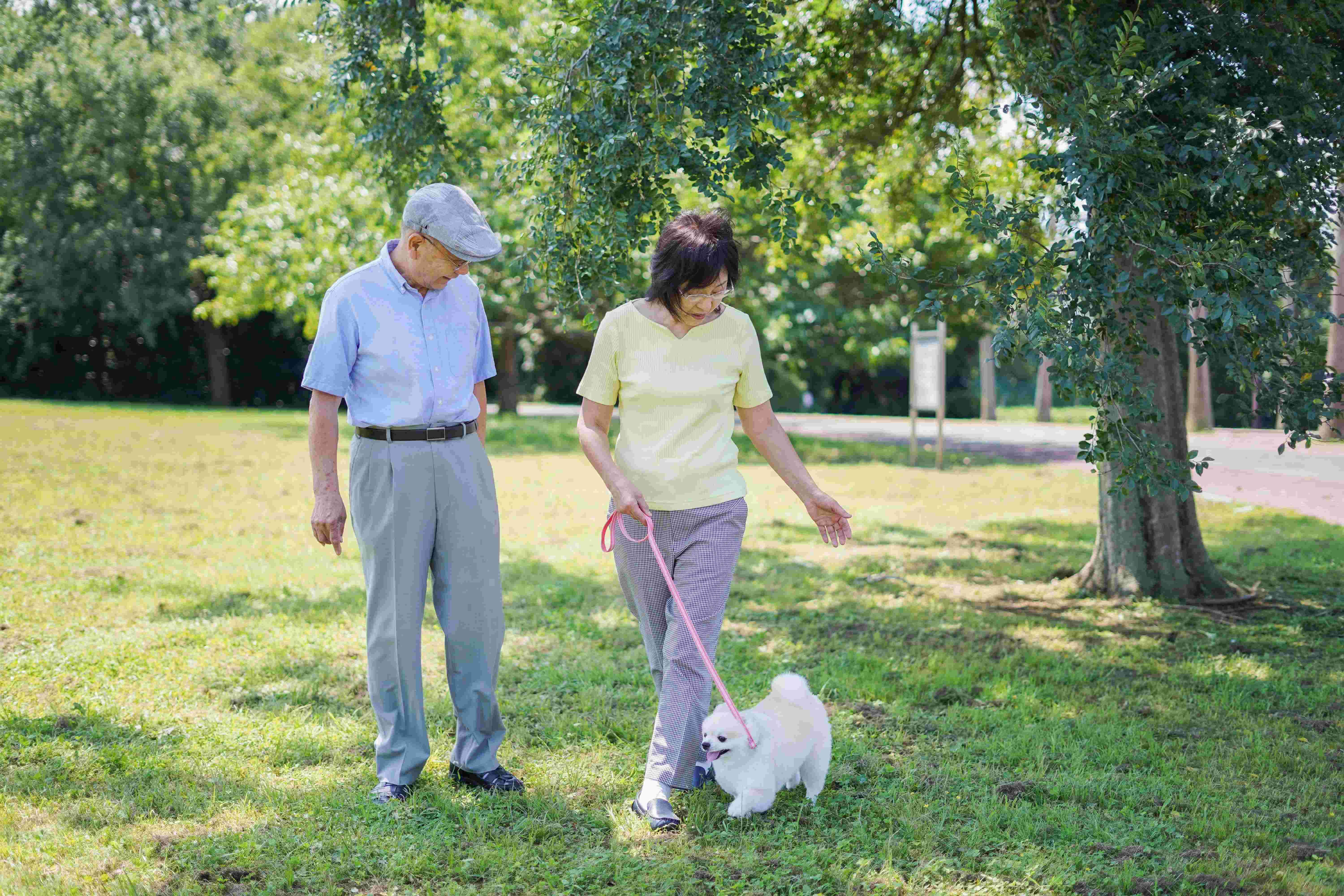 Elderly couple walking dog outdoors while on dialysis