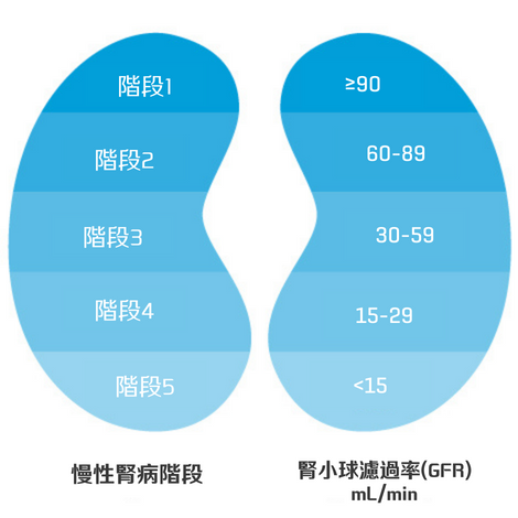 5 Stages of CKD in Trad Chinese