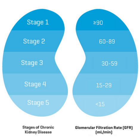 5 Stages of CKD