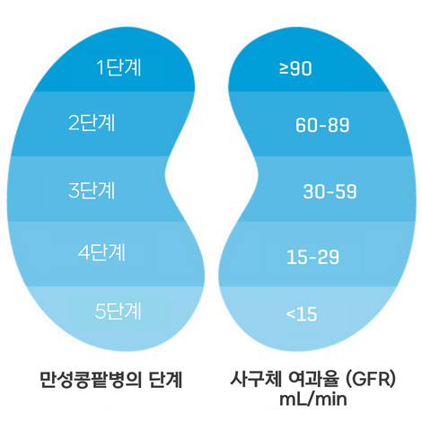 CKD stages in Korean