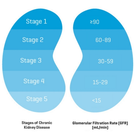 Chronic Kidney Disease (CKD) stages 